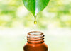 Texas-Tea-Hair-Beard-Skin-With-Essential-Oils